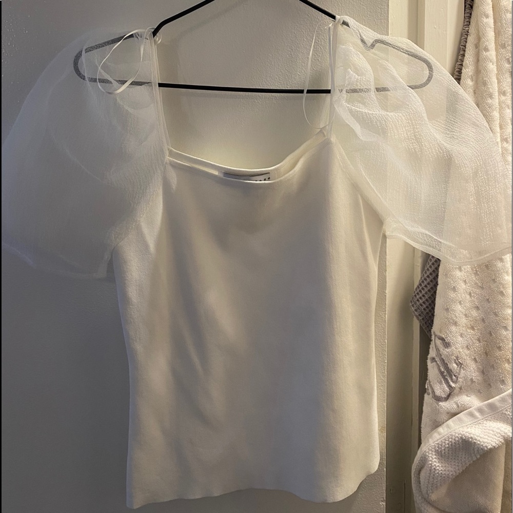 Endless Rose Organza Sleeve Top